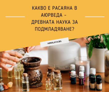What Is Rasayana in Ayurveda – The Ancient Science of Rejuvenation