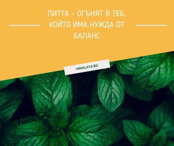 Питта – огънят в теб, който има нужда от баланс