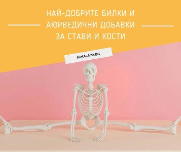 Най-добрите билки и Аюрведични добавки за стави и кости