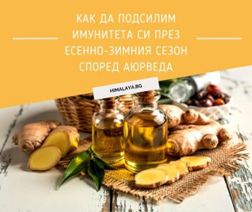 Как да подсилим имунитета си през есенно-зимния сезон според Аюрведа