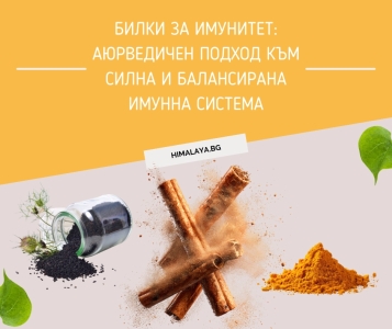 Билки за имунитет: Аюрведичен подход към силна и балансирана имунна система