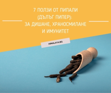 7 Benefits of Pippali (Long Pepper): For Breathing, Digestion and Immunity