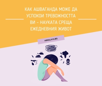 How Ashwagandha Can Calm Your Anxiety – Science Meets Everyday Life