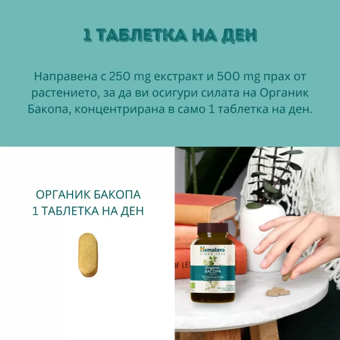 Organic Bacopa, 60 tabs (2 months supply), Himalaya Wellness