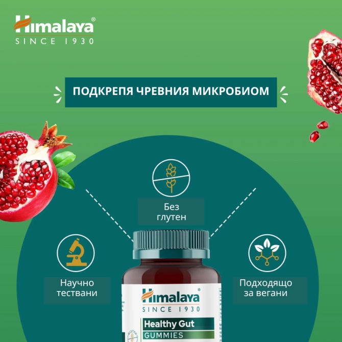 Хелти Гът (За здрави черва), 60 желирани таблетки (с аромат на ягода), Himalaya Wellness