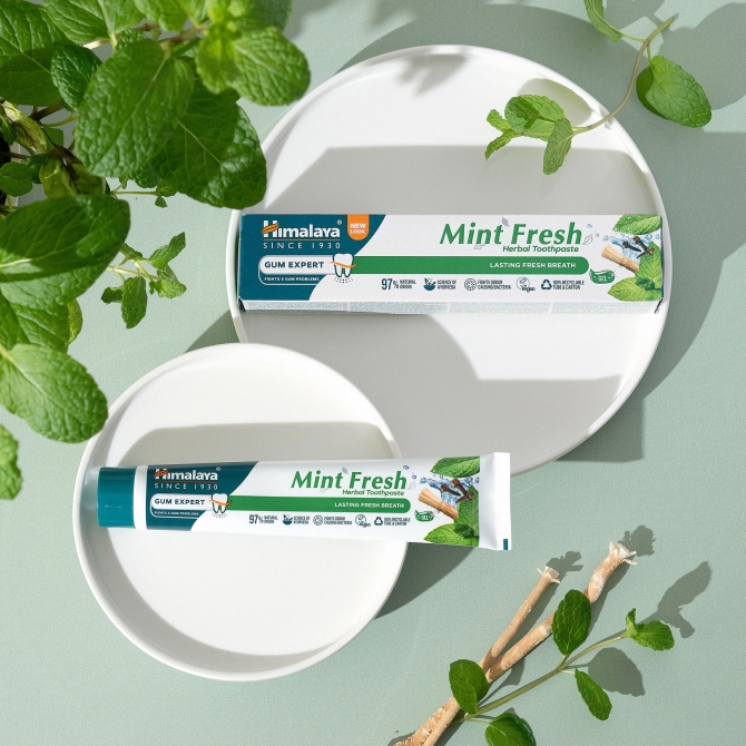 Mint Fresh Herbal Toothpaste, Himalaya Wellness, 75 ml