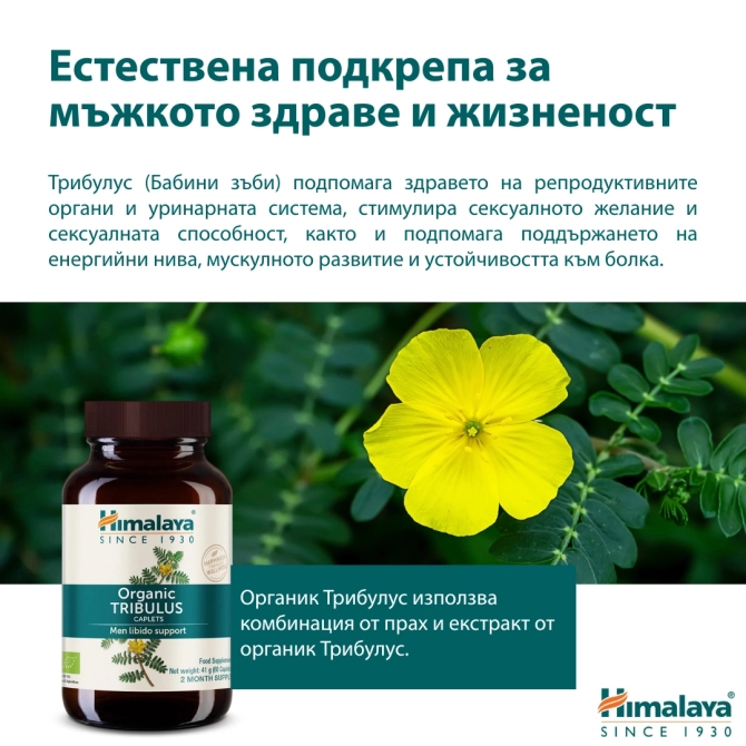 ОРГАНИК Трибулус (Бабини зъби),  60 табл х 688 mg, (ДВУМЕСЕЧЕН прием), Himalaya Wellness