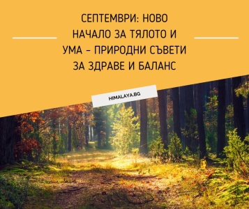 September: A Fresh Start for Body and Mind – Natural Tips for Health and Balance