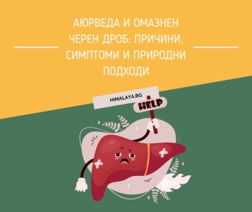 Аюрведа и омазнен черен дроб: причини, симптоми и природни подходи