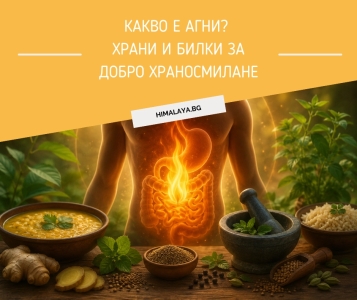 What Is Agni? The Ayurvedic Digestive Fire
