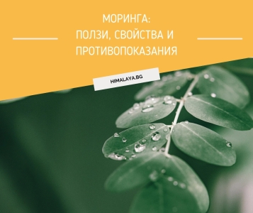 Moringa – Benefits, Properties and Side Effects
