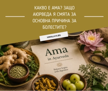 What Is Ama? Causes, Symptoms & Its Role in Ayurveda