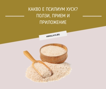 What Is Psyllium Husk? Benefits, Uses and How to Take It