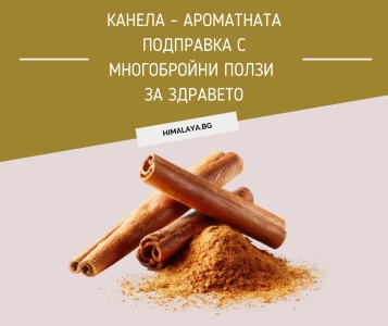 Cinnamon (Cinnamomum verum) – The Aromatic Spice with Remarkable Health Benefits