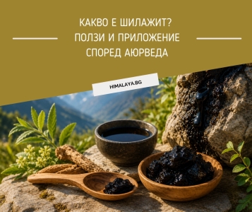 Какво е шилажит? Ползи и приложение според Аюрведа