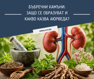 Бъбречни камъни: защо се образуват и какво казва Аюрведа?