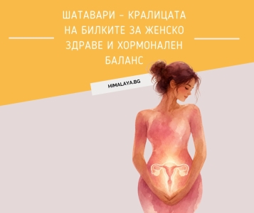 Shatavari – The Queen of Herbs for Women’s Health and Hormonal Balance