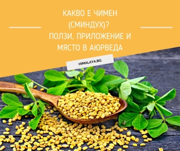 What Is Fenugreek? Benefits, Uses and Its Role in Ayurveda