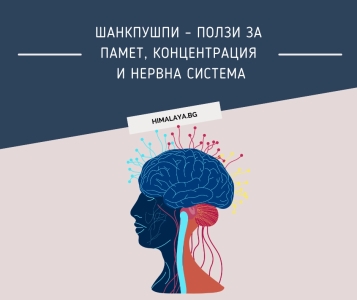 Shankhpushpi – Benefits for Memory, Focus & the Nervous System