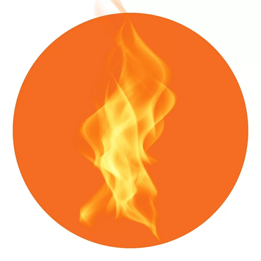 Pitta Dosha