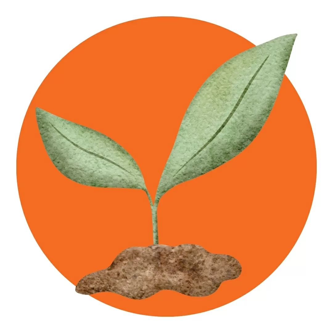 Kapha Dosha