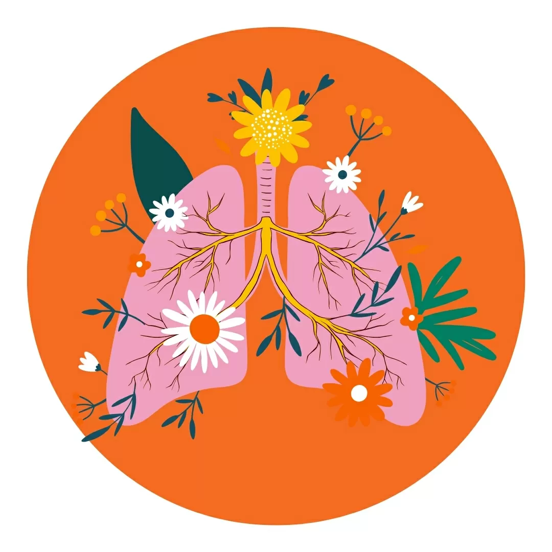 Lungs