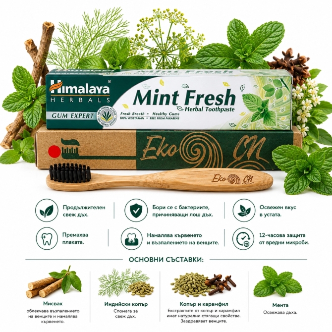 PROMO: Bamboo toothbrush for Adults + Mint Fresh Herbal Toothpaste