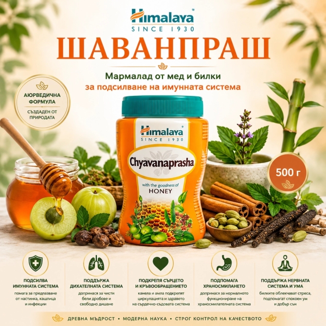 Шаванпраш - За добра имунна система, Himalaya Wellness, 500 г, най-добър до 31.08.2026