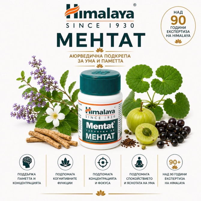 Mentat  30 Tabs, Himalaya Wellness