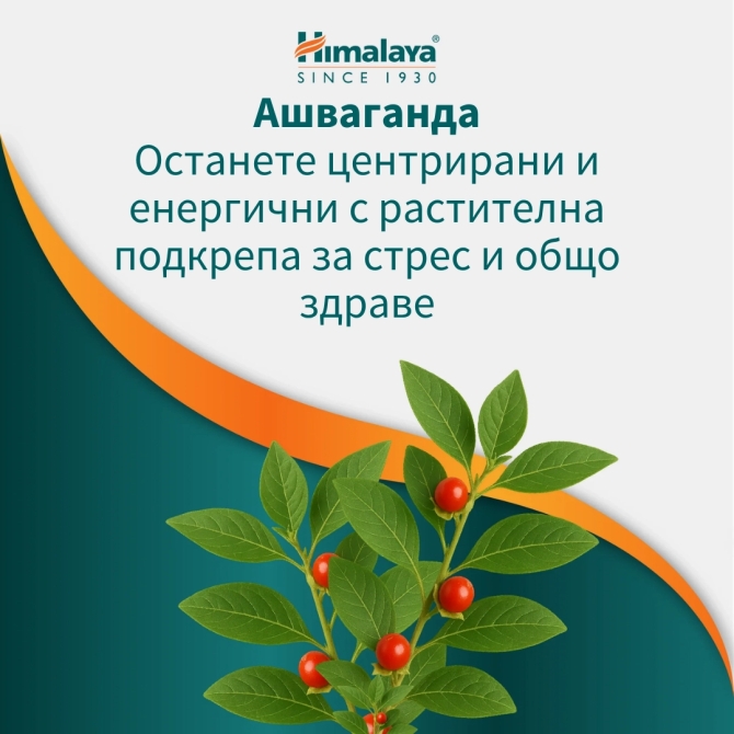 Ашваганда Уелнес (против стрес), 60 таблетки, Himalaya Wellness